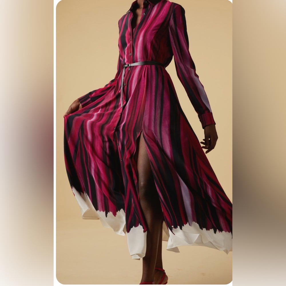 Altuzarra Judina Striped Silk Midi Shirt Dress - Picture 5 of 14